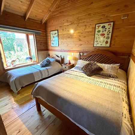 Hostal Pucon Sur Extérieur photo